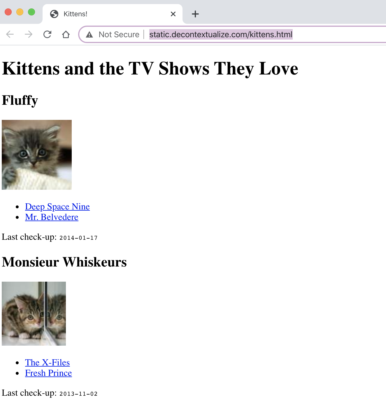 ../_images/kittens-web.png