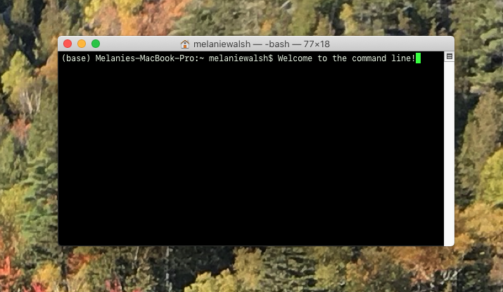 The command line